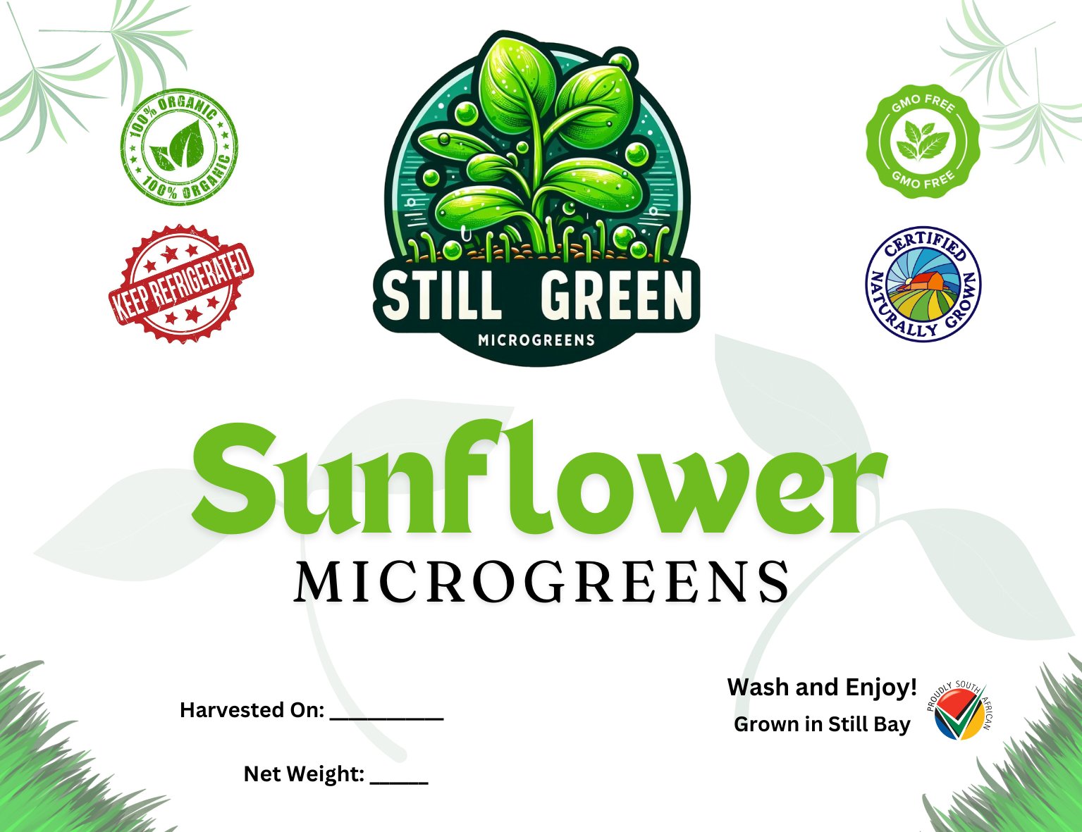 Still Green - Sunflower